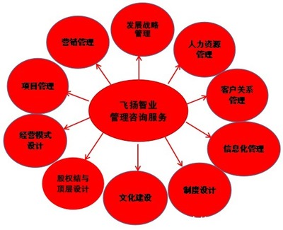管理咨詢服務(wù)哪家強(qiáng)？專業(yè)信息咨詢機(jī)構(gòu)的選擇與考量